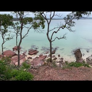 Meet your Posher, Bree